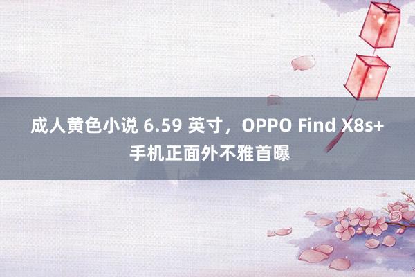 成人黄色小说 6.59 英寸，OPPO Find X8s+ 手机正面外不雅首曝