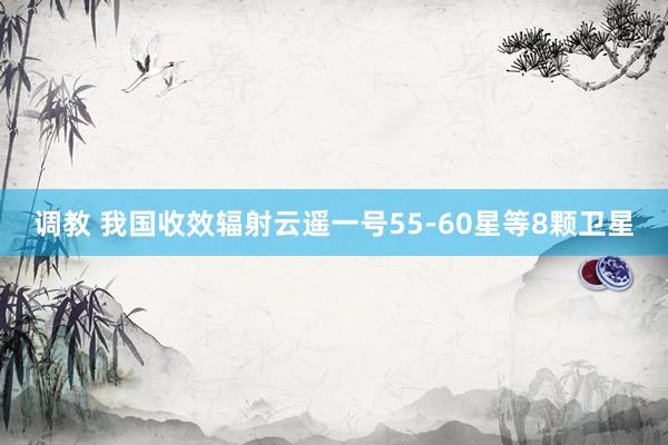 调教 我国收效辐射云遥一号55-60星等8颗卫星