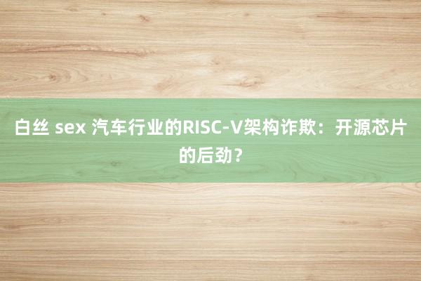 白丝 sex 汽车行业的RISC-V架构诈欺：开源芯片的后劲？