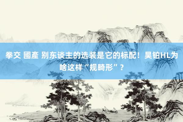 拳交 國產 别东谈主的选装是它的标配！昊铂HL为啥这样“规畸形”？
