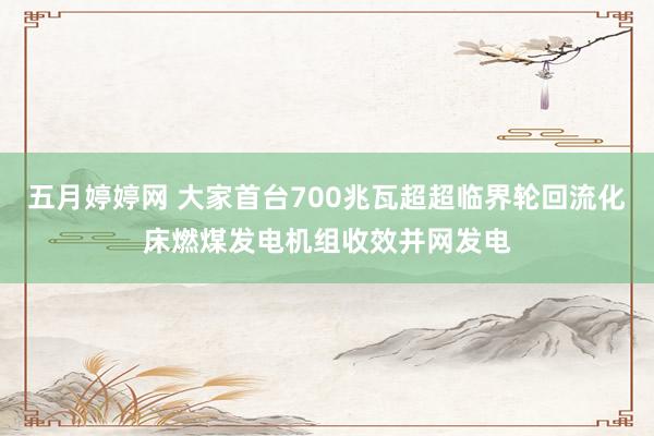 五月婷婷网 大家首台700兆瓦超超临界轮回流化床燃煤发电机组收效并网发电