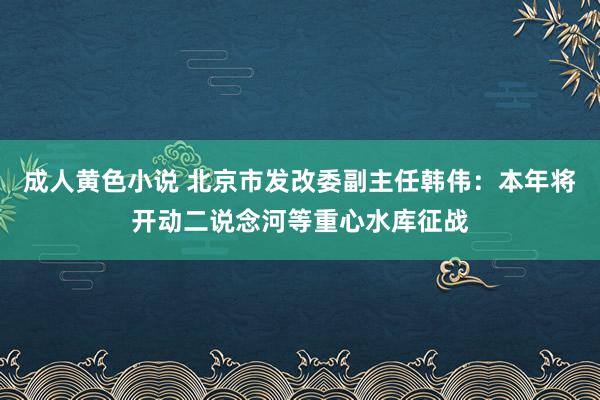 成人黄色小说 北京市发改委副主任韩伟：本年将开动二说念河等重心水库征战