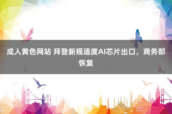 成人黄色网站 拜登新规适度AI芯片出口，商务部恢复