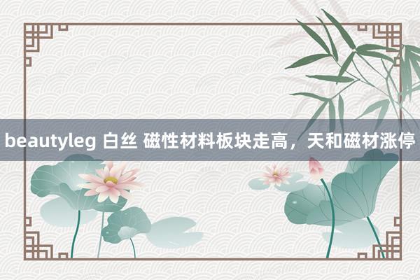 beautyleg 白丝 磁性材料板块走高，天和磁材涨停