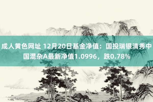 成人黄色网址 12月20日基金净值：国投瑞银清秀中国混杂A最新净值1.0996，跌0.78%