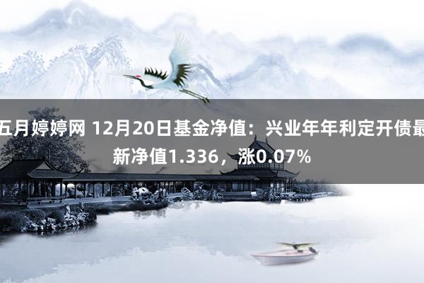 五月婷婷网 12月20日基金净值：兴业年年利定开债最新净值1.336，涨0.07%