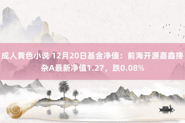 成人黄色小说 12月20日基金净值：前海开源嘉鑫搀杂A最新净值1.27，跌0.08%