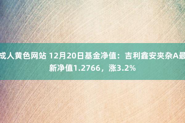 成人黄色网站 12月20日基金净值：吉利鑫安夹杂A最新净值1.2766，涨3.2%
