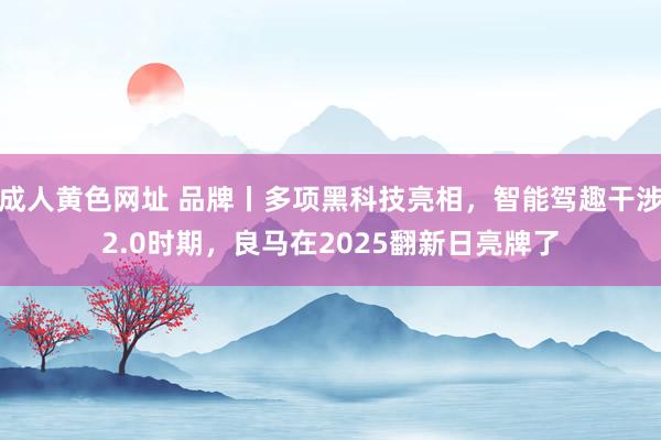 成人黄色网址 品牌丨多项黑科技亮相，智能驾趣干涉2.0时期，良马在2025翻新日亮牌了