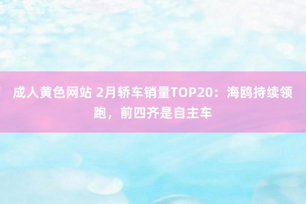 成人黄色网站 2月轿车销量TOP20：海鸥持续领跑，前四齐是自主车