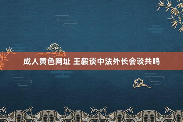 成人黄色网址 王毅谈中法外长会谈共鸣