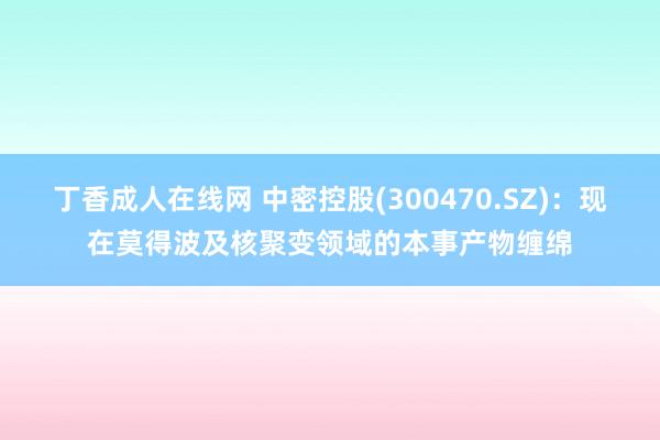 丁香成人在线网 中密控股(300470.SZ)：现在莫得波及核聚变领域的本事产物缠绵