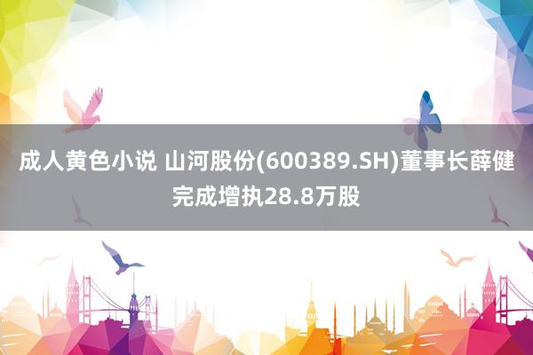成人黄色小说 山河股份(600389.SH)董事长薛健完成增执28.8万股