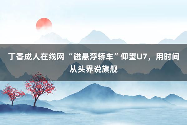 丁香成人在线网 “磁悬浮轿车”仰望U7，用时间从头界说旗舰