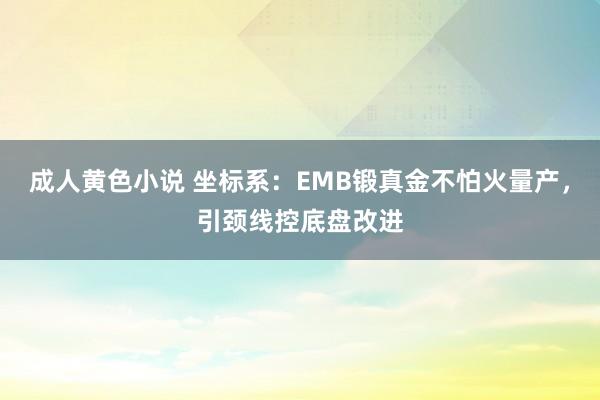 成人黄色小说 坐标系：EMB锻真金不怕火量产，引颈线控底盘改进