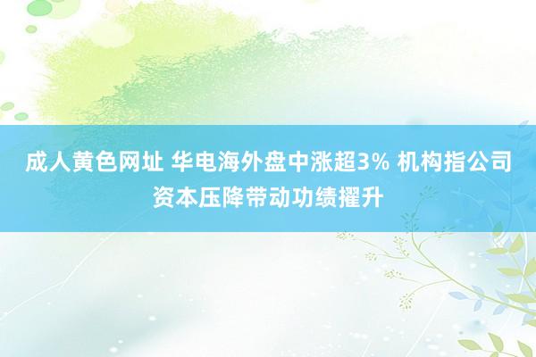 成人黄色网址 华电海外盘中涨超3% 机构指公司资本压降带动功绩擢升
