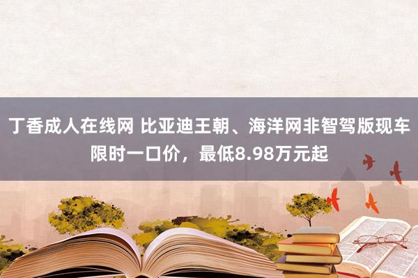 丁香成人在线网 比亚迪王朝、海洋网非智驾版现车限时一口价，最低8.98万元起
