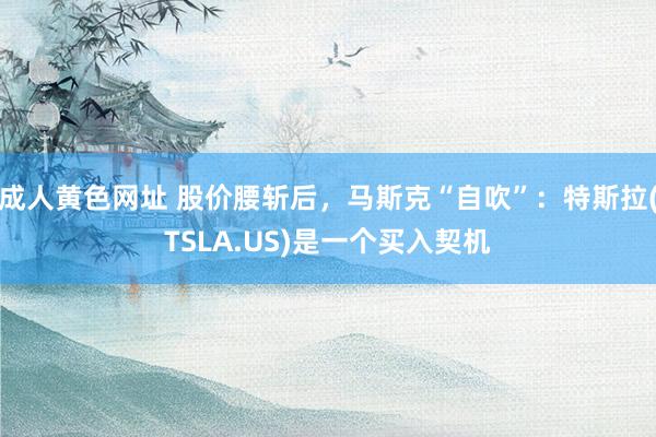成人黄色网址 股价腰斩后，马斯克“自吹”：特斯拉(TSLA.US)是一个买入契机