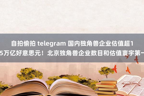 自拍偷拍 telegram 国内独角兽企业估值超1.5万亿好意思元！北京独角兽企业数目和估值寰宇第一
