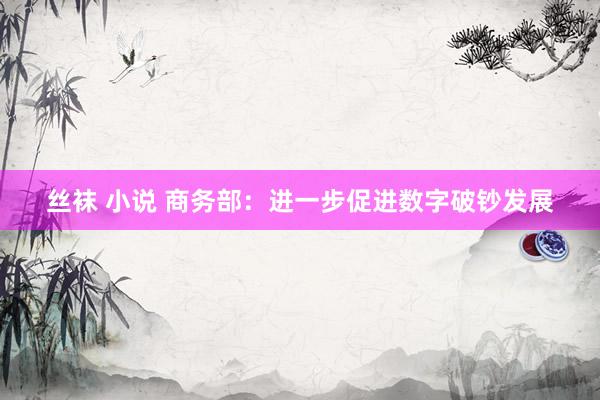 丝袜 小说 商务部：进一步促进数字破钞发展