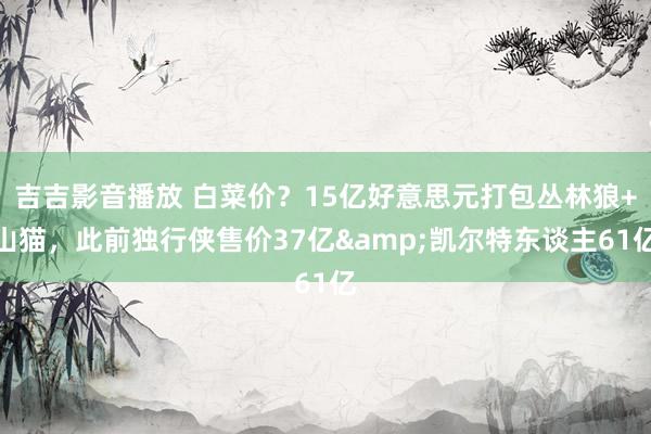 吉吉影音播放 白菜价？15亿好意思元打包丛林狼+山猫，此前独行侠售价37亿&凯尔特东谈主61亿