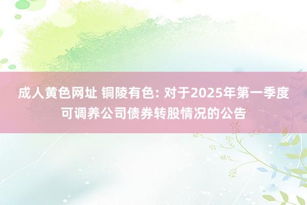 成人黄色网址 铜陵有色: 对于2025年第一季度可调养公司债券转股情况的公告