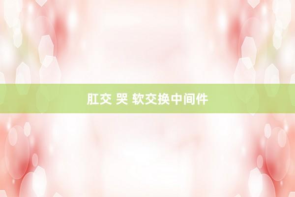 肛交 哭 软交换中间件