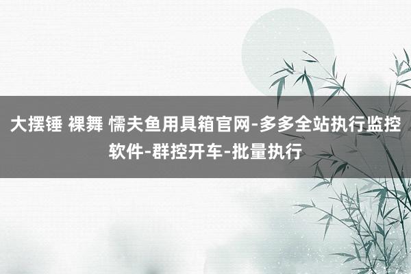 大摆锤 裸舞 懦夫鱼用具箱官网-多多全站执行监控软件-群控开车-批量执行