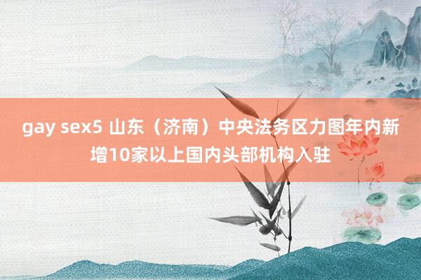 gay sex5 山东（济南）中央法务区力图年内新增10家以上国内头部机构入驻