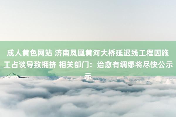 成人黄色网站 济南凤凰黄河大桥延迟线工程因施工占谈导致拥挤 相关部门：治愈有绸缪将尽快公示