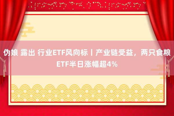 伪娘 露出 行业ETF风向标丨产业链受益，两只食粮ETF半日涨幅超4%
