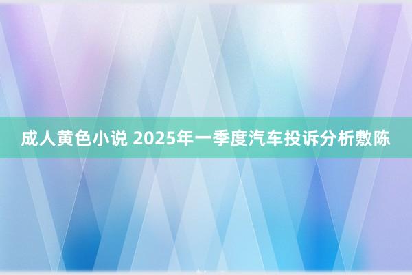 成人黄色小说 2025年一季度汽车投诉分析敷陈