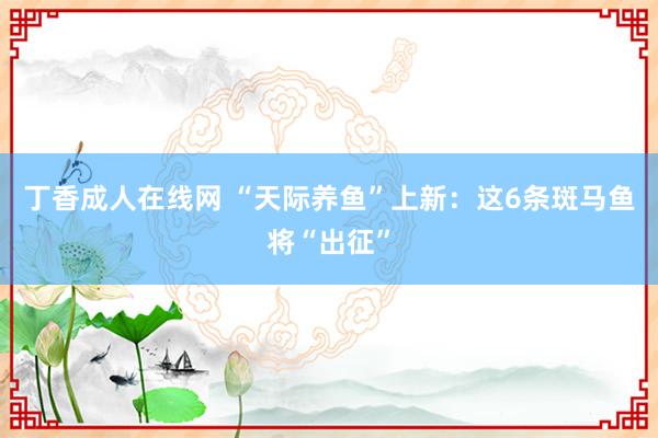丁香成人在线网 “天际养鱼”上新：这6条斑马鱼将“出征”