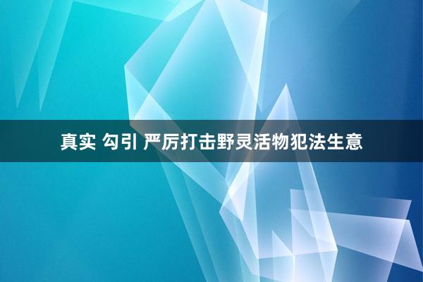 真实 勾引 严厉打击野灵活物犯法生意