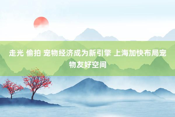 走光 偷拍 宠物经济成为新引擎 上海加快布局宠物友好空间