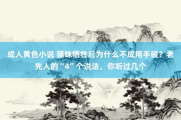 成人黄色小说 猫咪牺牲后为什么不成用手碰？老先人的“4”个说法，你听过几个