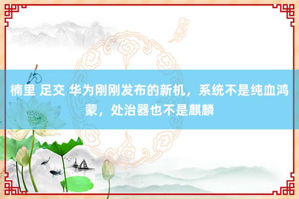 楠里 足交 华为刚刚发布的新机，系统不是纯血鸿蒙，处治器也不是麒麟