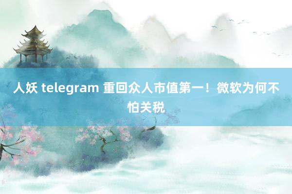 人妖 telegram 重回众人市值第一！微软为何不怕关税
