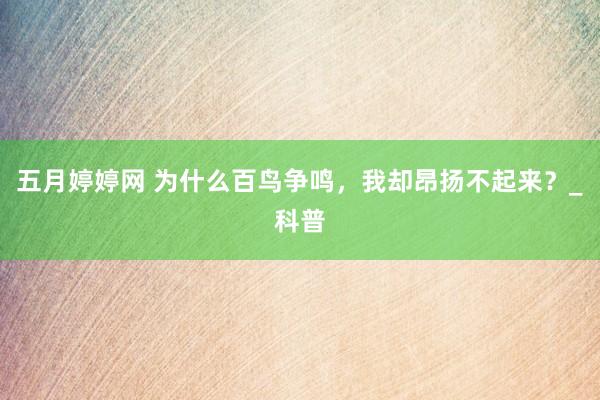 五月婷婷网 为什么百鸟争鸣，我却昂扬不起来？_科普