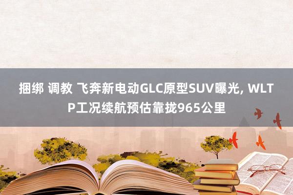 捆绑 调教 飞奔新电动GLC原型SUV曝光， WLTP工况续航预估靠拢965公里