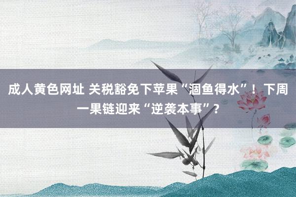 成人黄色网址 关税豁免下苹果“涸鱼得水”！下周一果链迎来“逆袭本事”？