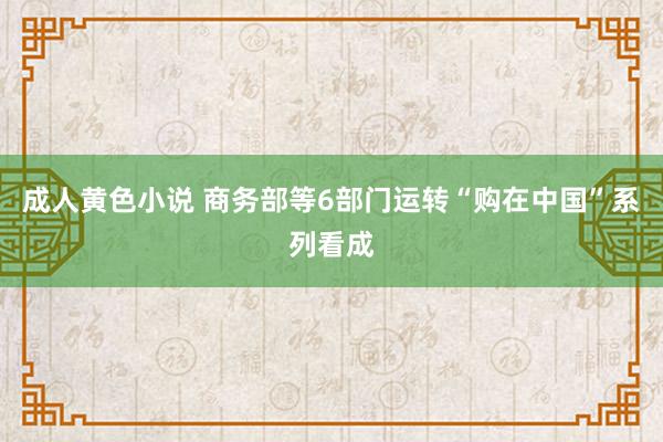 成人黄色小说 商务部等6部门运转“购在中国”系列看成