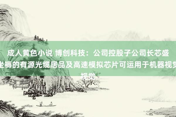 成人黄色小说 博创科技：公司控股子公司长芯盛坐褥的有源光缆居品及高速模拟芯片可运用于机器视觉