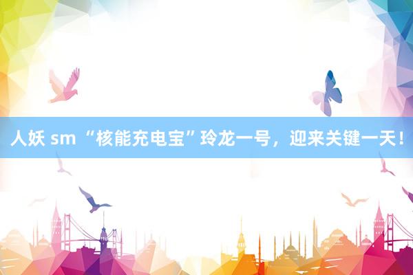 人妖 sm “核能充电宝”玲龙一号，迎来关键一天！