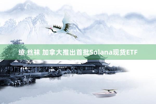 绫 丝袜 加拿大推出首批Solana现货ETF