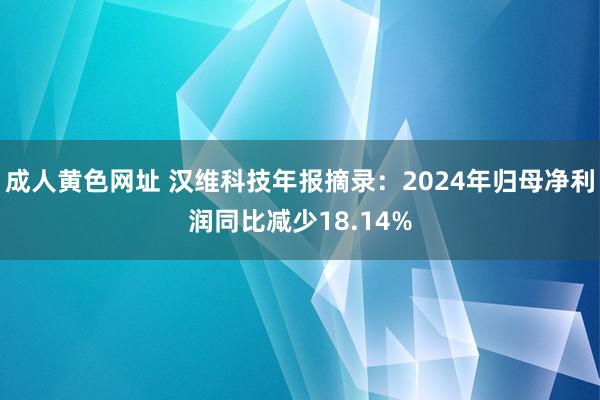成人黄色网址 汉维科技年报摘录：2024年归母净利润同比减少18.14%