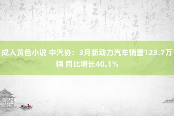 成人黄色小说 中汽协：3月新动力汽车销量123.7万辆 同比增长40.1%