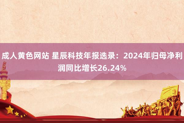 成人黄色网站 星辰科技年报选录：2024年归母净利润同比增长26.24%