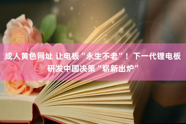 成人黄色网址 让电板“永生不老”！下一代锂电板研发中国决策“崭新出炉”