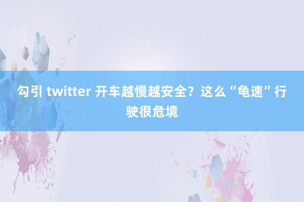 勾引 twitter 开车越慢越安全？这么“龟速”行驶很危境